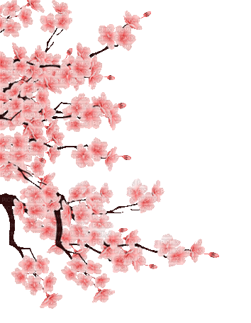soave deco animated spring tree branch - Bezmaksas animēts GIF