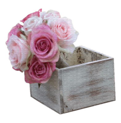 Kaz_Creations Deco  Flowers - 免费PNG