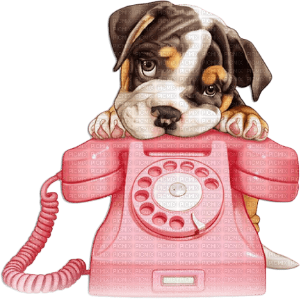 soave valentine animals deco  dog phone - бесплатно png