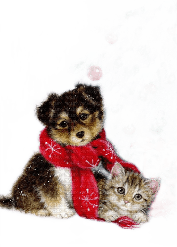 loly33 chien chat hiver noël - 免费PNG
