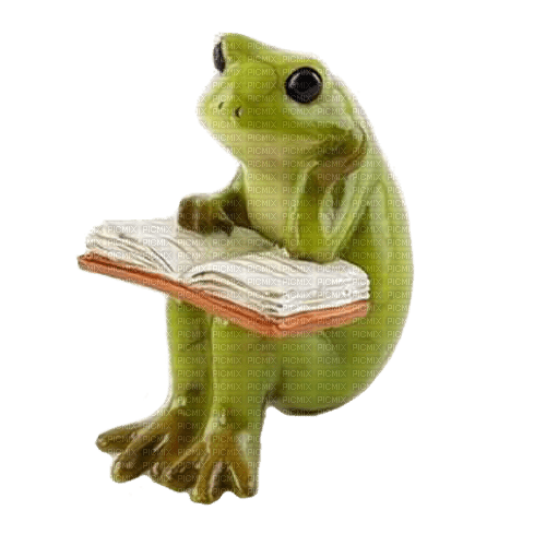 Frog Reading Book - Free PNG