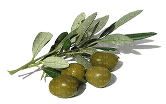 olives bp - png ฟรี