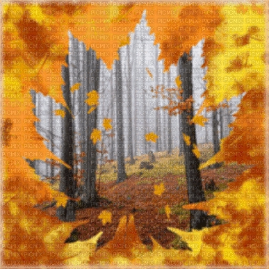 autumn automne herbst landscape fall bg gif - Ingyenes animált GIF