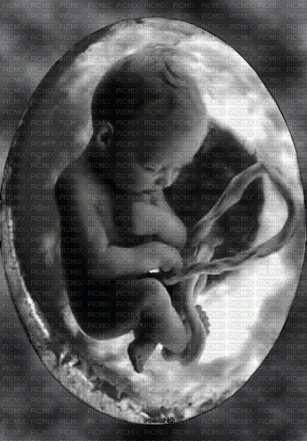 Bebé - Darmowy animowany GIF