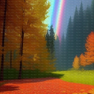 Autumn Forest with Rainbow - png ฟรี