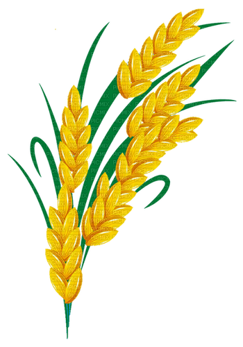 wheat Bb2 - ücretsiz png