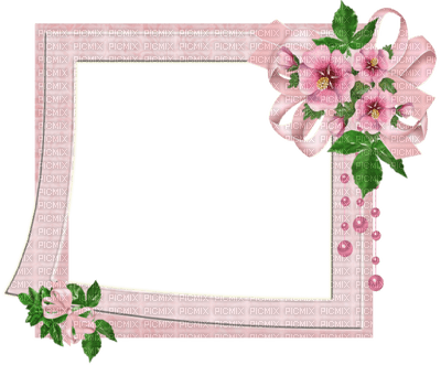 Kaz_Creations Deco Frames Flowers  Frame - kostenlos png