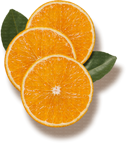 Orange Slices - zdarma png