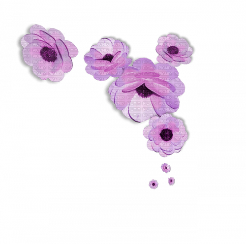 Flower Violet - Bogusia - gratis png