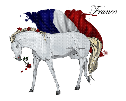 France Blue White Red - Bogusia - zdarma png