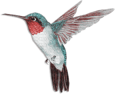 soave deco bird hummingbird pink teal - PNG gratuit