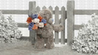 TEDDY BEAR - Darmowy animowany GIF