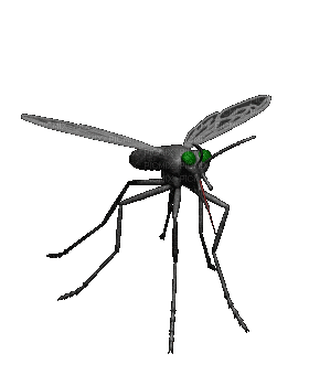 bug gif - Бесплатни анимирани ГИФ