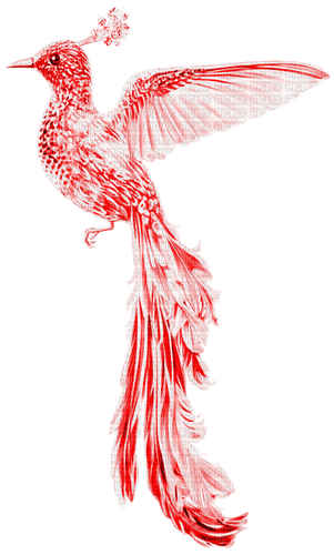 Fantasy.Bird.Red - png gratis