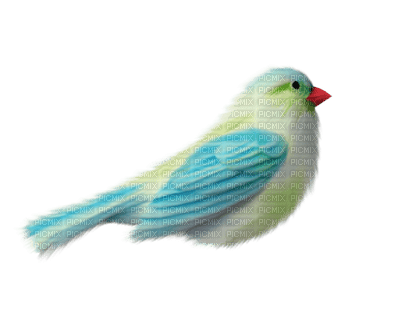 Kaz_Creations Deco Birds Colours Bird - darmowe png