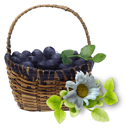 Blueberries - Bogusia - Free PNG
