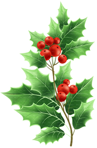 Christmas_Mistlet-------jul blomma - безплатен png