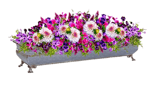 fleurs en pot web charmille - ingyenes png
