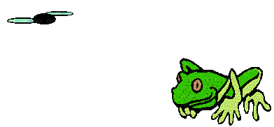 frog - Бесплатни анимирани ГИФ