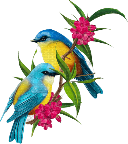 Kaz_Creations Birds-Flowers-Fleurs - png gratis