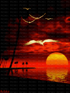 Dobranoc - 無料のアニメーション GIF