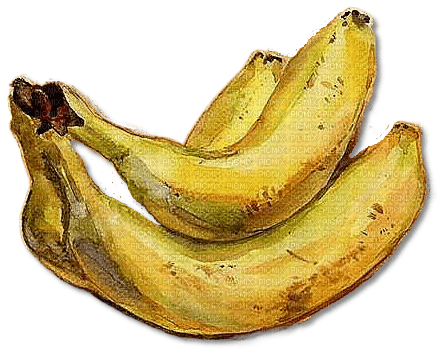 Bananas.Bananes.Fruit.Yellow.Victoriabea - ingyenes png