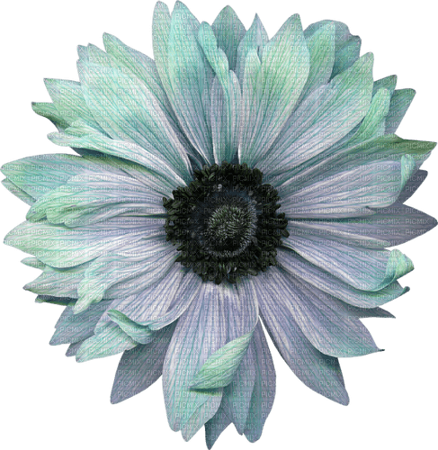 Tube-flower - δωρεάν png