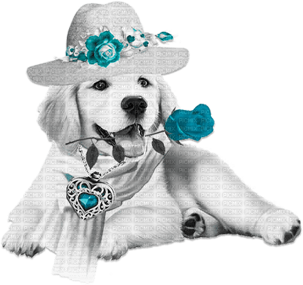 soave deco valentine hat flowers rose  animals dog - Free PNG