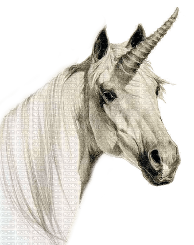 unicorn by nataliplus - бесплатно png
