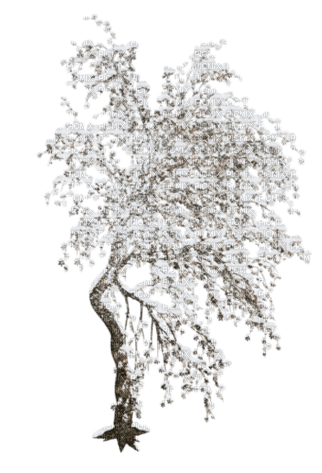 arbre hiver - zadarmo png
