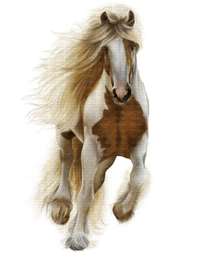 Pferd - ücretsiz png