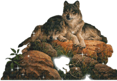 loups 1 - GIF animado grátis