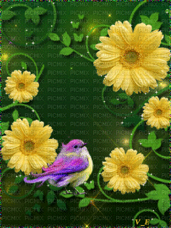 MMarcia gif flores e pássaro fundo - Free animated GIF