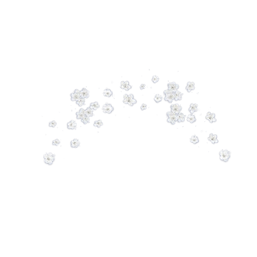White flowers soft overlay [Basilslament] - nemokama png