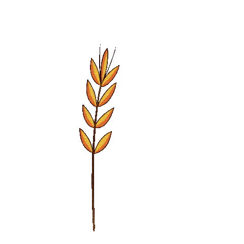 Wheat.Blè.Trigo.Espiga.gif.Victoriabea - Free animated GIF