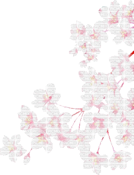 spring blossom - GIF animado grátis