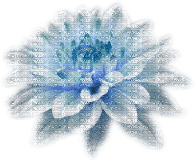 Kwiaty niebieski - kostenlos png