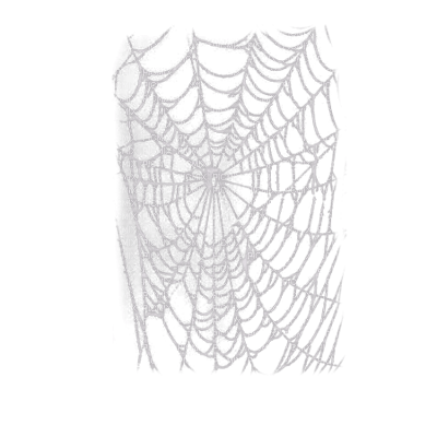 spiderweb - 無料png