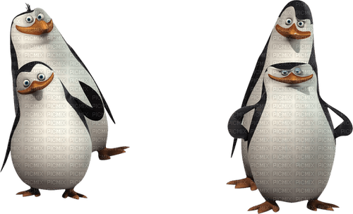 pingwiny z madagaskaru - 無料png
