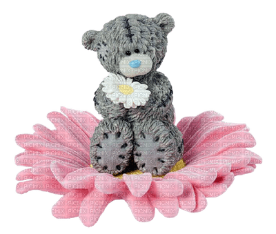 Kaz_Creations Me To You Bear On Flower - фрее пнг