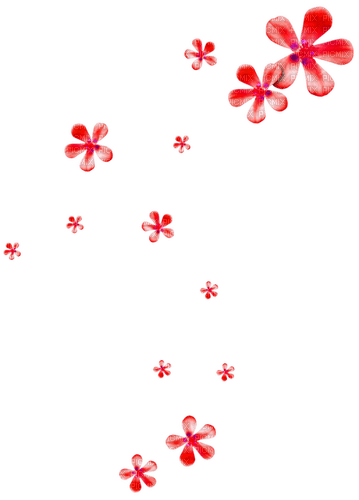 Flowers.Red - gratis png