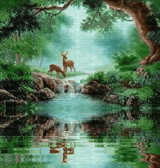 forest - Gratis geanimeerde GIF