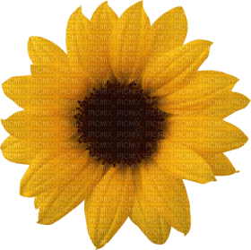 Kaz_Creations Deco Flowers Sunflower Flower - 無料png