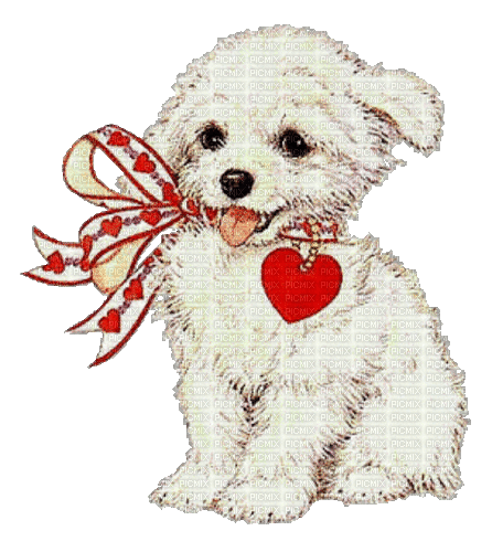 dolceluna dog red heart - GIF animate gratis