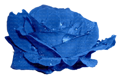 rosa azul-l - zdarma png