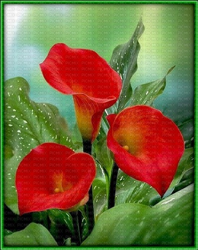 Tableau de fleurs - PNG gratuit
