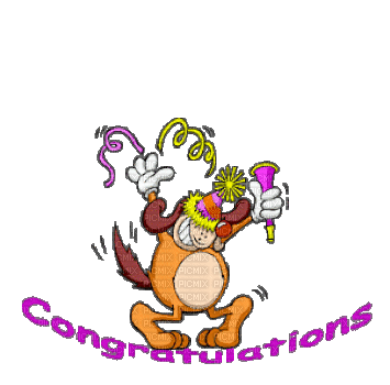 congratulations, text , lettre , word , congratulations , dog - Free animated  GIF - PicMix