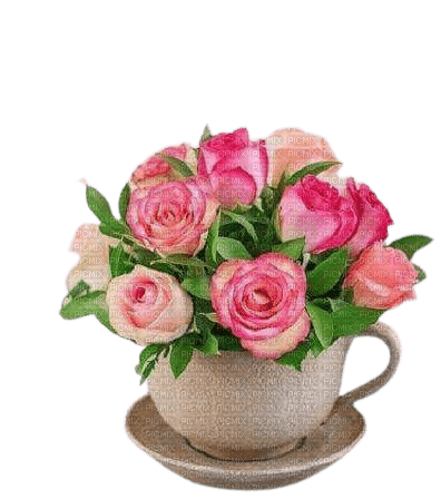 tazzina con rose - Free PNG