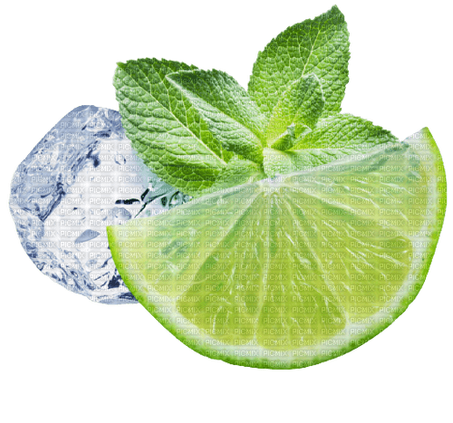 Lime Ice - Bogusia - Free PNG