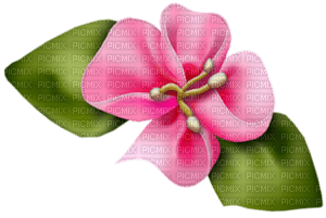 Kaz_Creations Valentine Deco Love Flowers Flower - kostenlos png